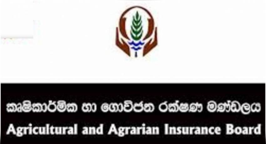 යල කන්නයේ වැඩිම වගා හානි කුරුණෑගල දිස්ත්‍රික්කයට..